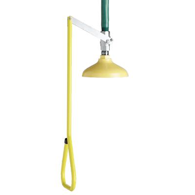 Speakman Deluge Shower